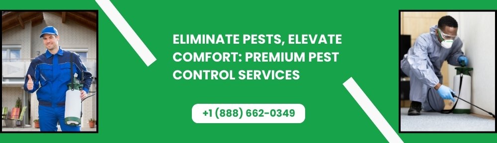 pest control services